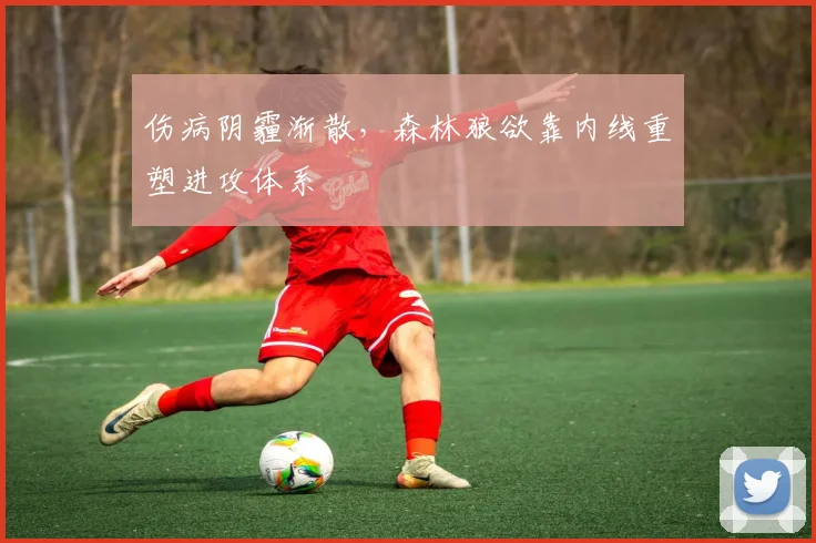 伤病阴霾渐散，森林狼欲靠内线重塑进攻体系