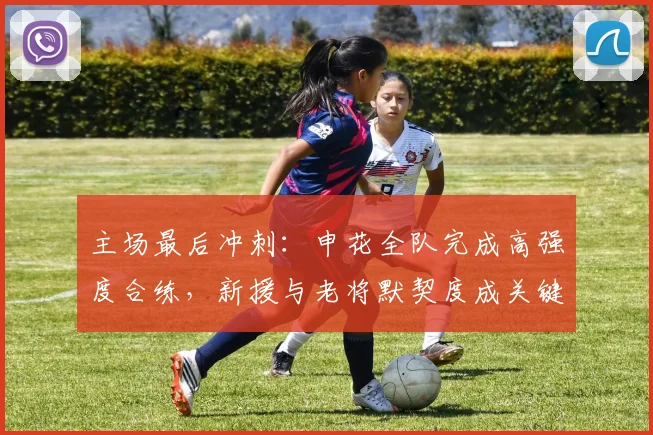 主场最后冲刺：申花全队完成高强度合练，新援与老将默契度成关键变量