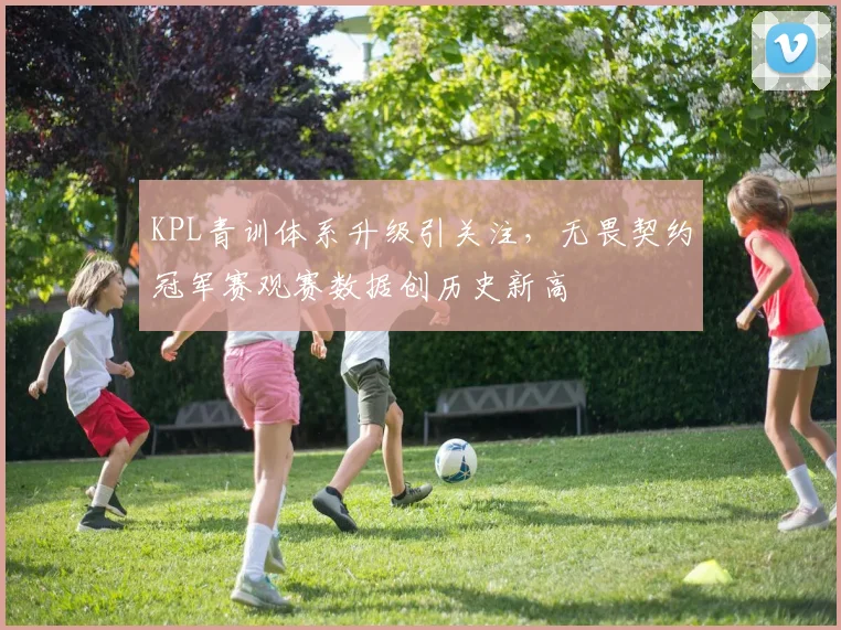KPL青训体系升级引关注，无畏契约冠军赛观赛数据创历史新高