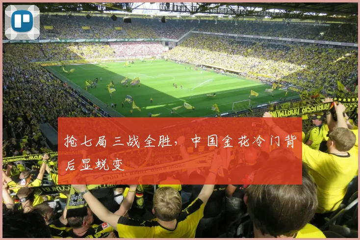 抢七局三战全胜，中国金花冷门背后显蜕变